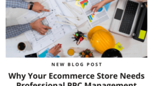 Why Your Ecommerce Store Needs Professional PPC Management